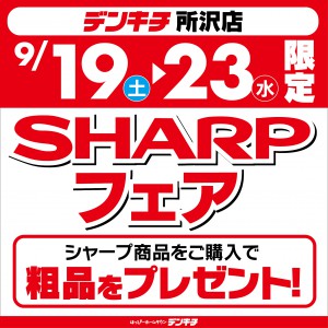 2026_0910ãé±æ«ã¤ããã³ãããææ²¢ãã·ã£ã¼ãããã§ã¢0919_æ­£æ¹